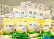 Dinas Pertanian Provinsi Gorontalo Pastikan Stok Pangan Aman Meski Kemarau