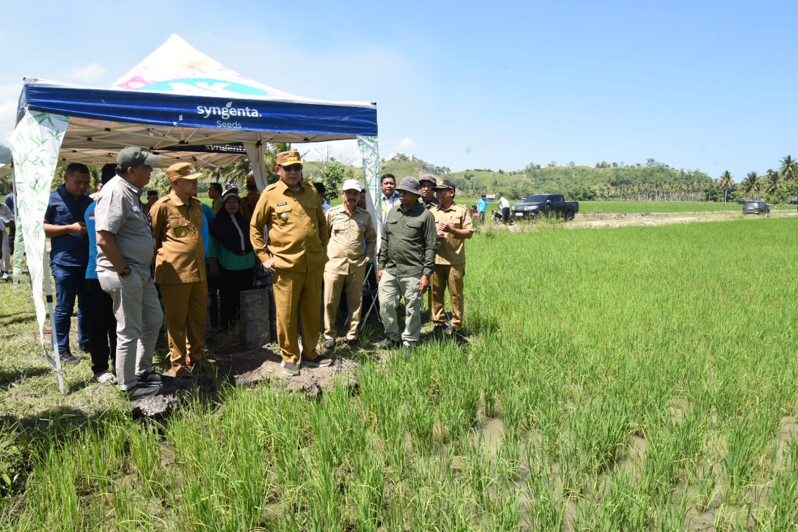Program Cetak Sawah