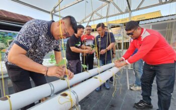 Program Green House