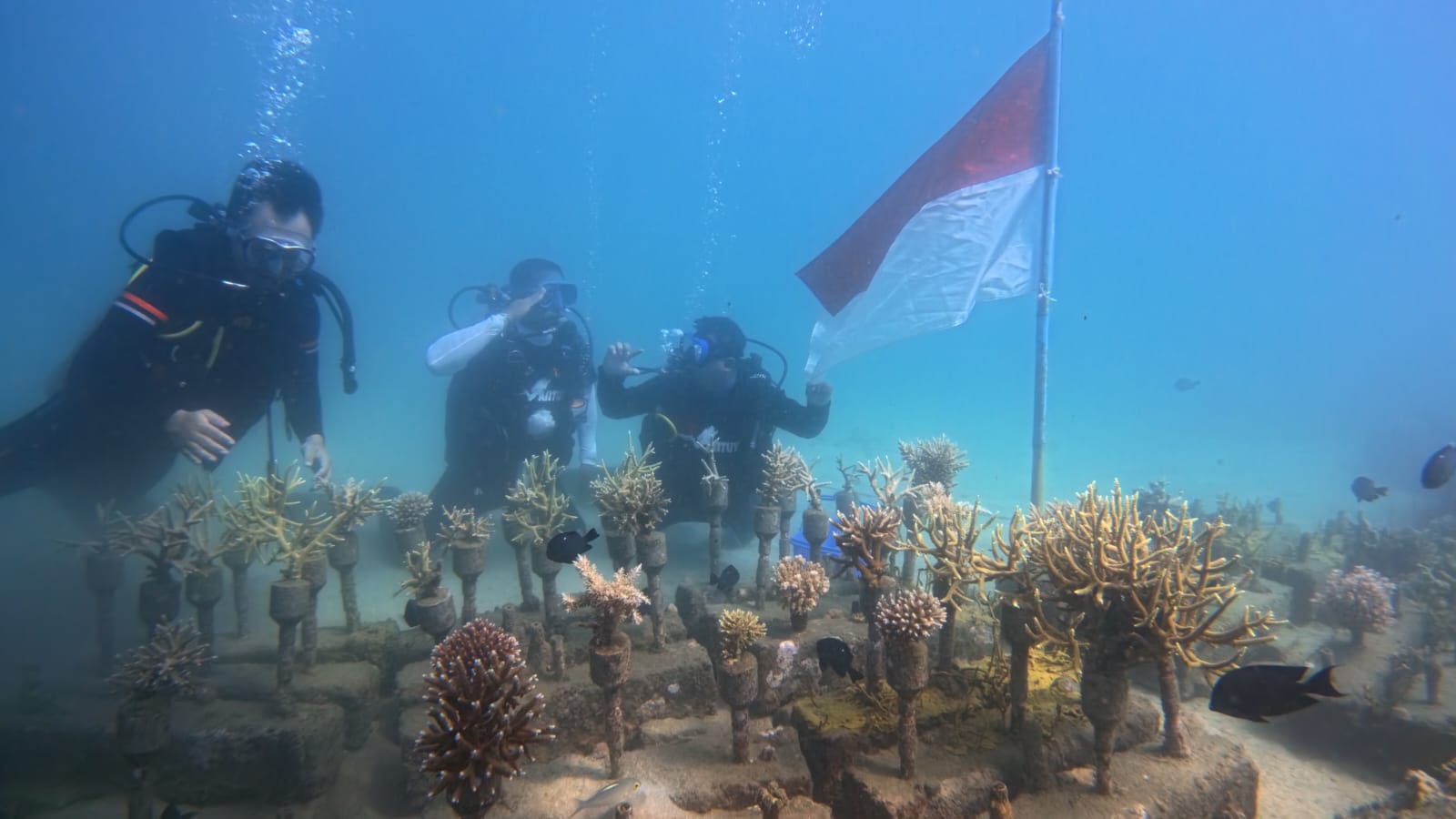 HUT RI Gorontalo