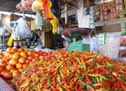 Harga Cabai Rawit
