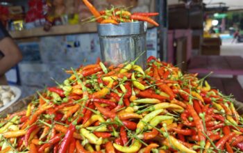 Harga Cabai Gorontalo
