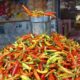 Harga Cabai Rawit di Gorontalo Naik-Turun, Sempat Rp170 Ribu Kini Rp140 Ribu/Kg