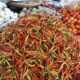 Sempat Tembus Rp150 Ribu, Harga Cabai Rawit di Gorontalo Turun jadi Rp130 Ribu/kg