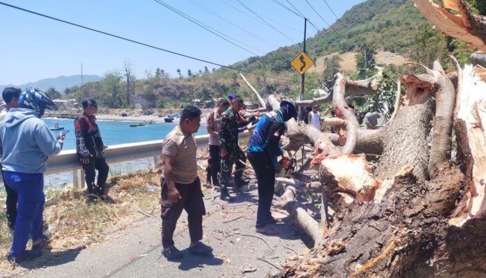 Polairud Polda Gorontalo Gerak Cepat Evakuasi Pohon Tumbang di Jalan Trans Sulawesi