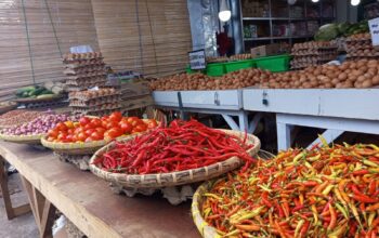 Harga Cabai Gorontalo