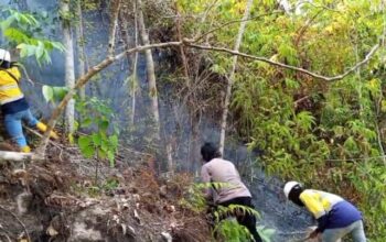Kebakaran Hutan Gorontalo