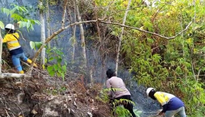 Padamkan Kebakaran Hutan di Konsesi PT GM, Petugas Hadapi Medan Terjal dan Minim Air