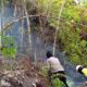 Padamkan Kebakaran Hutan di Konsesi PT GM, Petugas Hadapi Medan Terjal dan Minim Air