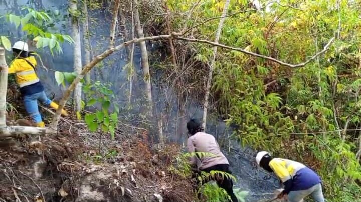 Kebakaran Hutan Gorontalo