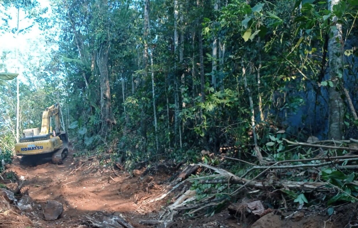 Kebakaran Hutan