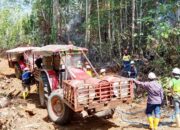Kebakaran Hutan Gorontalo