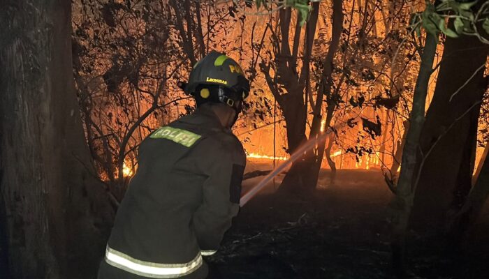 90 Personel Gabungan Berjibaku Padamkan Kebakaran Lahan di Pegunungan Lombongo