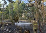 Dit Samapta Polda Gorontalo Turun Tangan, Kebakaran Lahan di Bondawuna Berhasil Dipadamkan