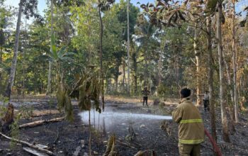 Dit Samapta Polda Gorontalo Turun Tangan, Kebakaran Lahan di Bondawuna Berhasil Dipadamkan