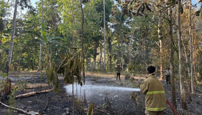 Dit Samapta Polda Gorontalo Turun Tangan, Kebakaran Lahan di Bondawuna Berhasil Dipadamkan