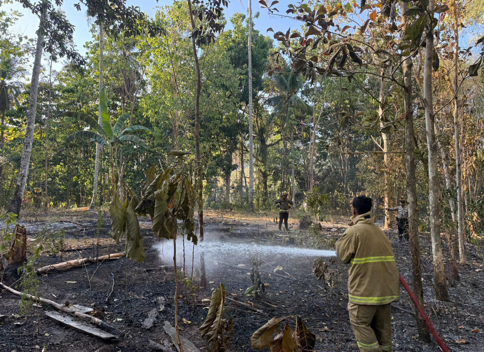 Kebakaran Lahan Gorontalo