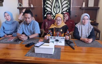 Direktur RS Ainun