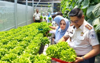 Lapas Gorontalo Panen Sayur Greenhouse