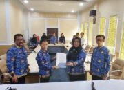 RS Ainun Habibie