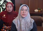 Direktur RS Ainun habibie