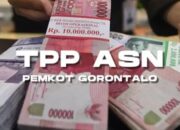 TPP ASN Gorontalo