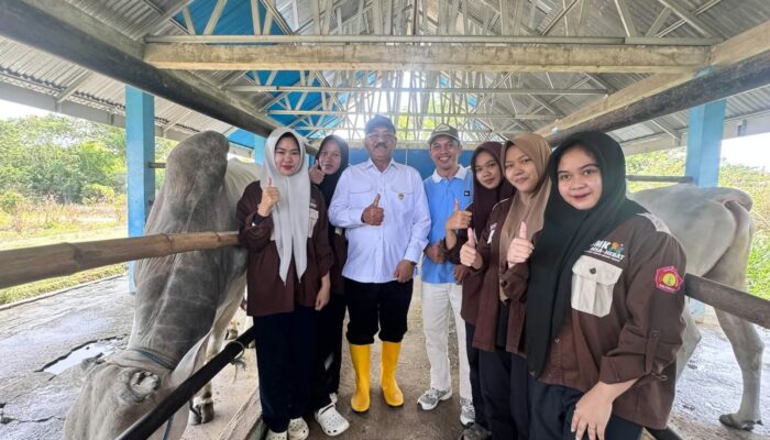 Bupati Rum Siapkan Indukan Sapi Unggul untuk Pengembangan Ternak di Boalemo
