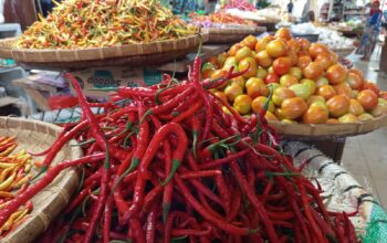 Bahan Pokok Masih Mahal: Cabai Rawit Rp150 Ribu/Kg, Cabai Keriting Rp120 Ribu/Kg