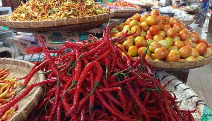 Bahan Pokok Masih Mahal: Cabai Rawit Rp150 Ribu/Kg, Cabai Keriting Rp120 Ribu/Kg
