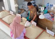 Harga Beras
