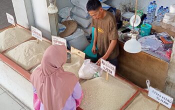 Harga Beras