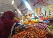 Harga Cabai