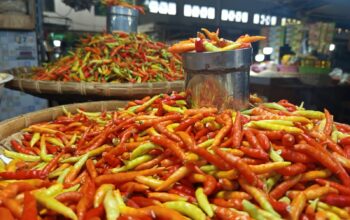 Harga Cabai