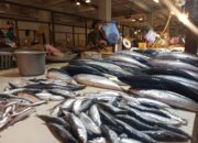 Harga Ikan