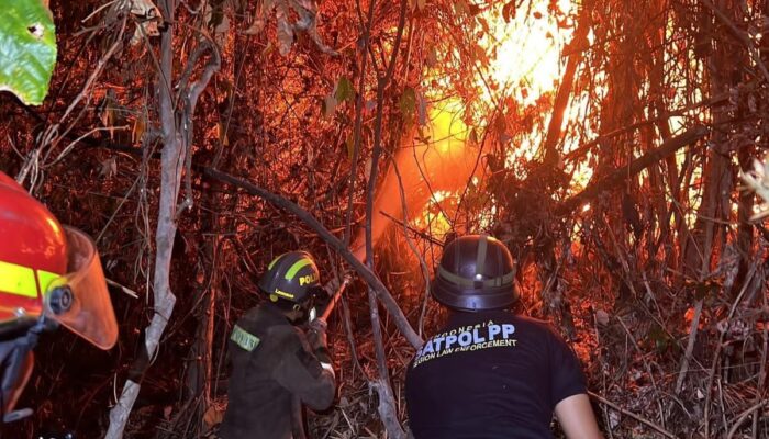 Gunung Tolomato Suwawa Terbakar, Tim Gabungan Berjibaku Padamkan Api