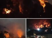 Kondisi kebakaran hutan di wilayah tambang suwawa ft.istimewa