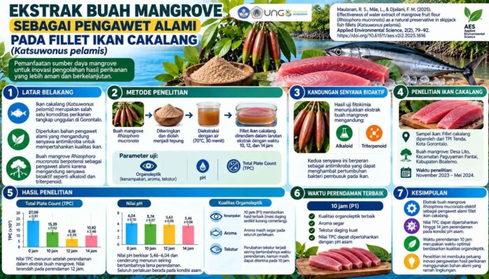 Inovasi UNG: Ekstrak Buah Mangrove Dijadikan Pengawet Alami Ikan Cakalang