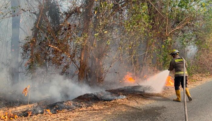 BPBD Catat 207 Kejadian Karhutla di Gorontalo, Bone Bolango Tertinggi