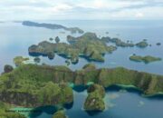 Tanah Pulau