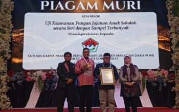 Rekor Muri POM